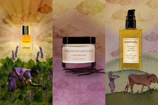 evanhealy patchouli ritual illustration