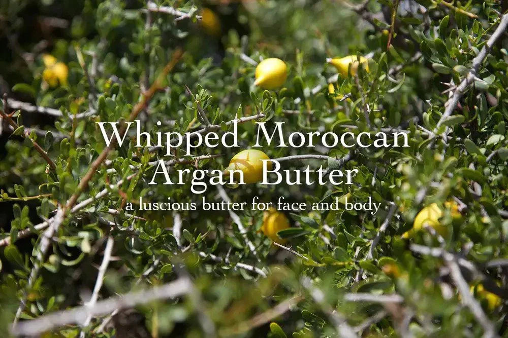 Learn More About Whipped Moroccan Argan Butter