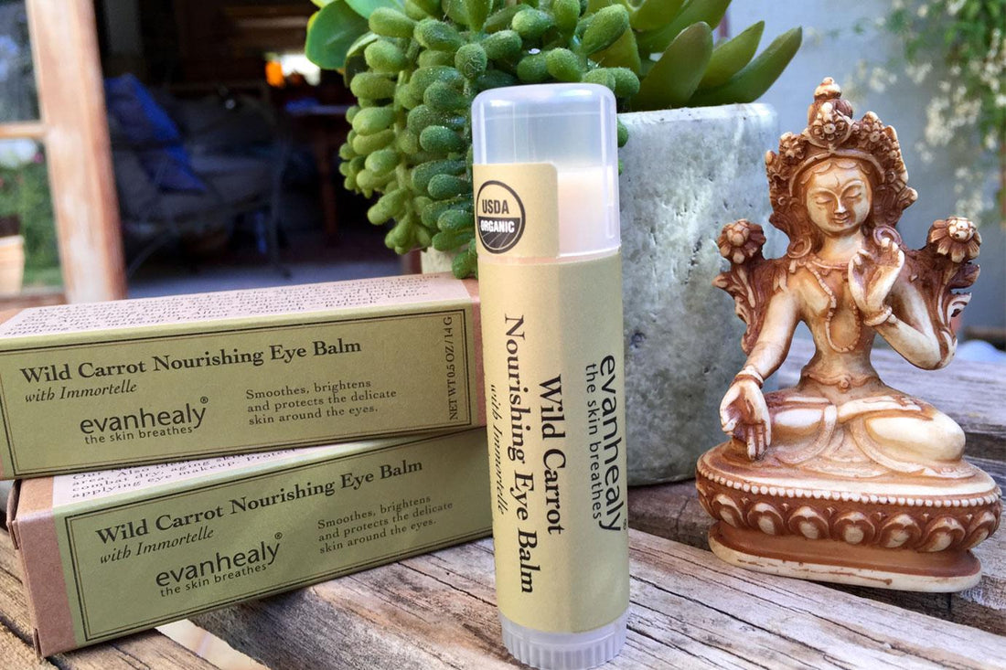 Wild Carrot Nourishing Eye Balm